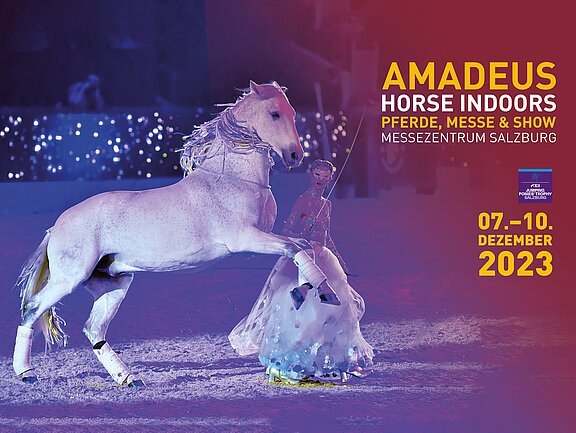 Amadeus Horse Indoors 