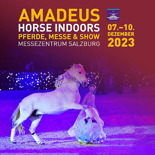 [Translate to Englisch:] Amadeus Horse Indoors 2023